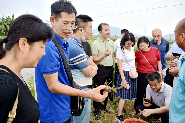 民進(jìn)專題調(diào)研組參觀新興養(yǎng)殖業(yè)“坦洲青藍(lán)龍”育苗和人工養(yǎng)殖基地現(xiàn)場(chǎng)_副本.jpg